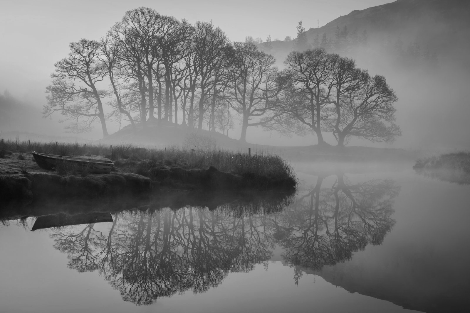 Reflets dans la brume